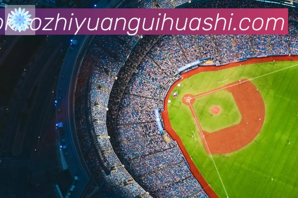 多终端兼容